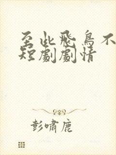 至此飞鸟不相逢短剧剧情