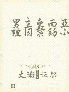 男主东南亚女主被囚禁的小说