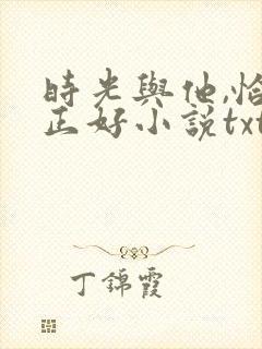 时光与他,恰是正好小说txt
