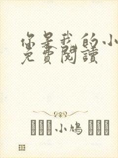 你是我的小确幸免费阅读