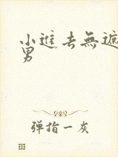小进去无遮挡男男封面