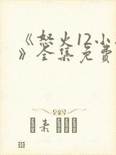 《怒火12小时》全集免费观看