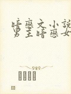 暗恋文小说推荐男主暗恋女主封面