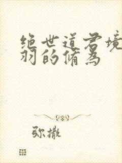 绝世道君境界陆羽的修为