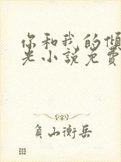 你和我的倾城时光小说免费阅读全文