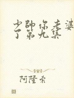 少帅你老婆又跑了第九集