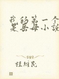 我的第一个女人是岳母小说