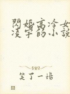 闪婚高冷女总裁凌宇的小说