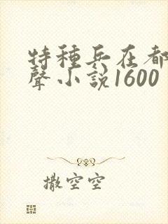 特种兵在都市有声小说1600
