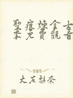 圣痕炼金士第一季免费观看