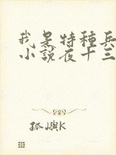 我是特种兵杨洛小说夜十三