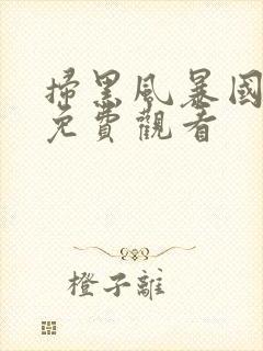 扫黑风暴国语版免费观看