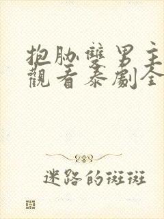 抱胁双男主免费观看泰剧全集高清