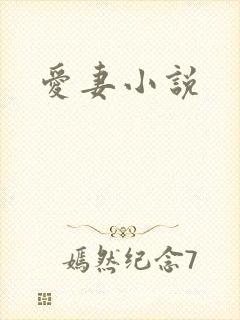 爱妻小说
