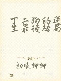 丁二狗的逆袭人生最后结局