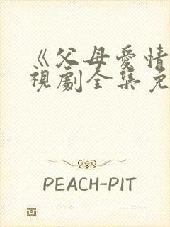 《父母爱情》电视剧全集免费观看