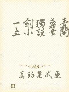 一剑独尊青鸾峰上小说笔阁趣