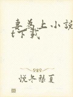 妻为上小说txt下载