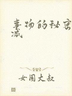 事物的秘密未删减