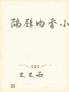 隔壁肉香小说