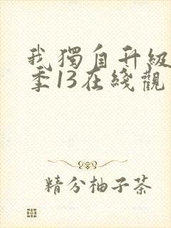 我独自升级第二季13在线观看