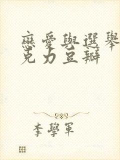 恋爱与选举与巧克力豆瓣