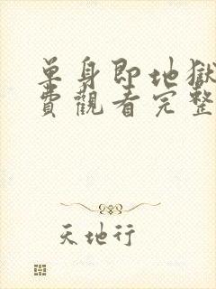 单身即地狱3免费观看完整版封面