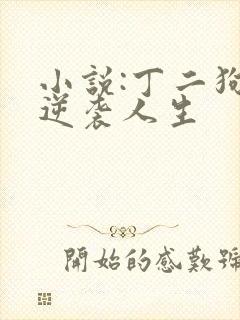 小说:丁二狗的逆袭人生