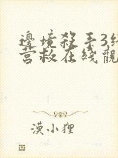 边境杀手3终极营救在线观看免费