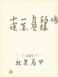 十一月的鸡男命运怎么样