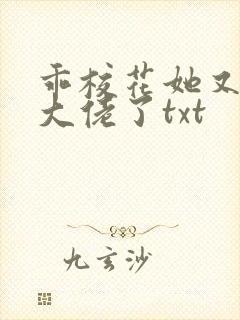 乖校花她又在哄大佬了txt