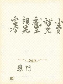 电视剧甜小姐和冷先生免费观看全集