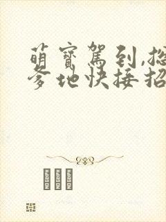 萌宝驾到,总裁爹地快接招