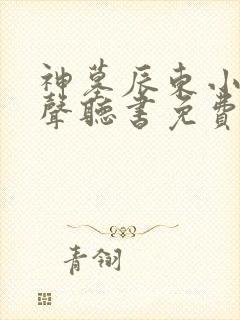 神墓辰东小说有声听书免费