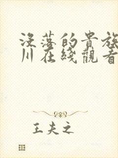 没落的贵族琉璃川在线观看免费