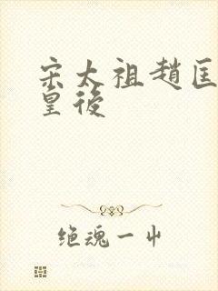 宋太祖赵匡胤的皇后封面