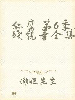 红鹰 第6季在线观看全集免费播放