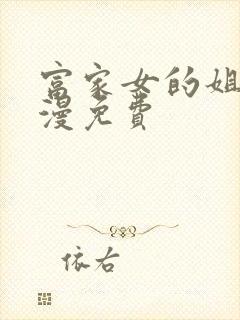 富家女的姐姐韩漫免费封面