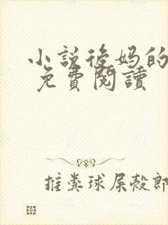 小说后妈的春天 免费阅读封面