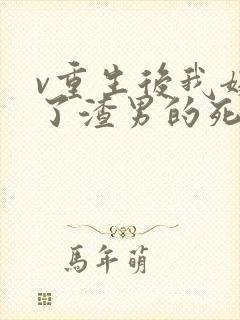 v重生后我嫁给了渣男的死对头