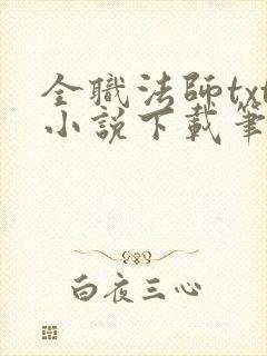 全职法师txt小说下载笔趣阁