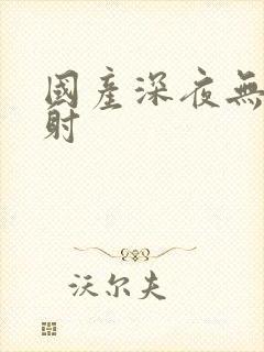 国产深夜无套内射