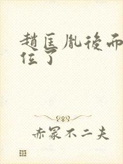 赵匡胤后面谁继位了