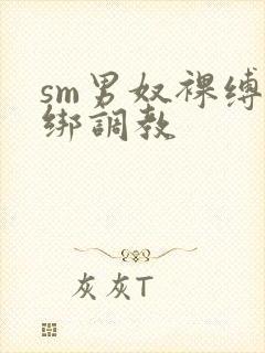 sm男奴裸缚捆绑调教封面