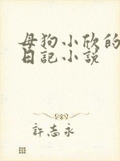 母狗小欣的调教日记小说封面