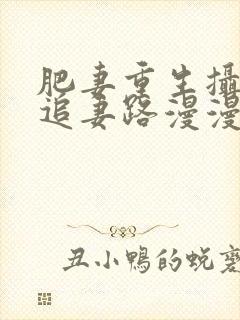 肥妻重生摄政王追妻路漫漫全集免费