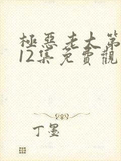 极恶老大第二季12集免费观看