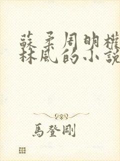 苏柔周明权赵刚林风的小说在线阅读全文小说