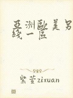 亚洲欧美另类在线一区