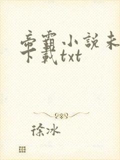 帝霸小说未删版下载txt
